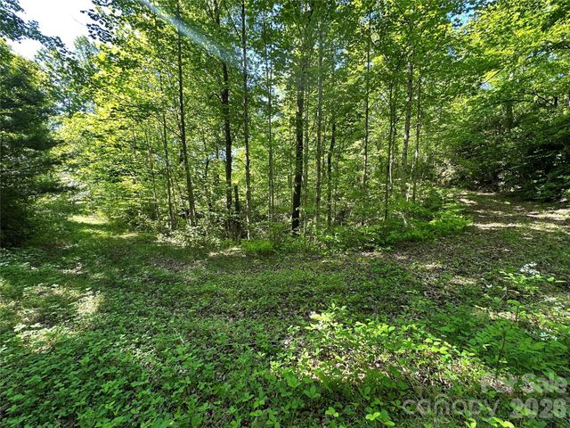 99999 Bird Creek Estates Road, Black Mountain, NC 28711