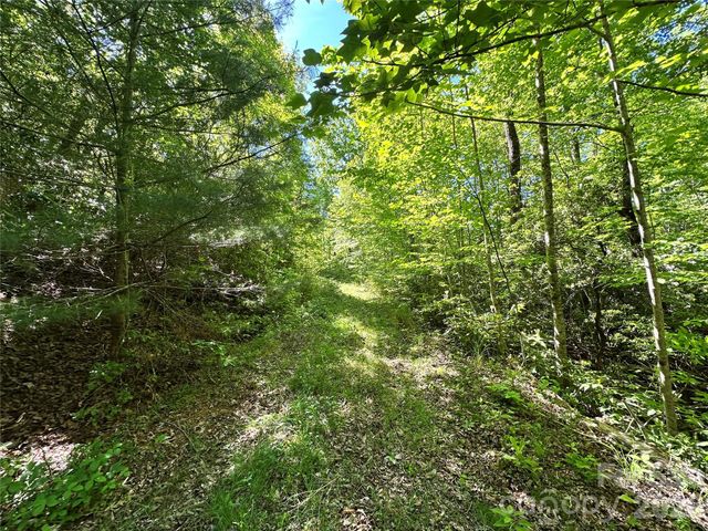 99999 Bird Creek Estates Road, Black Mountain, NC 28711