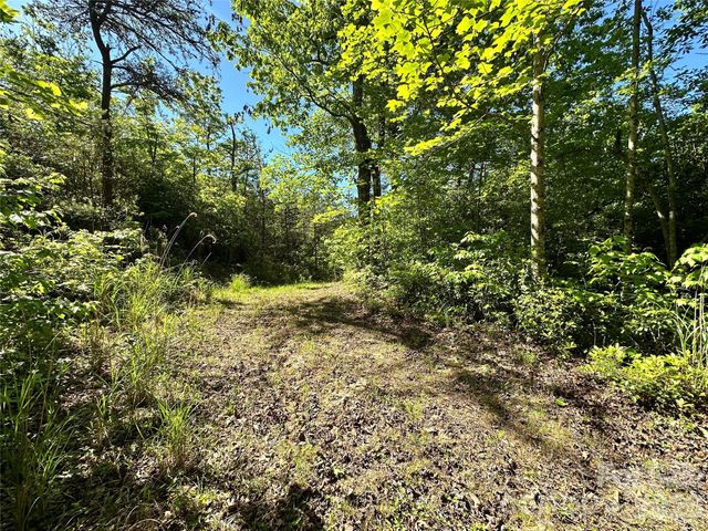 99999 Bird Creek Estates Road, Black Mountain, NC 28711