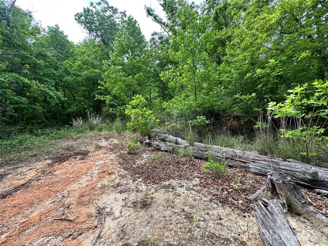 99999 Bird Creek Estates Road, Black Mountain, NC 28711