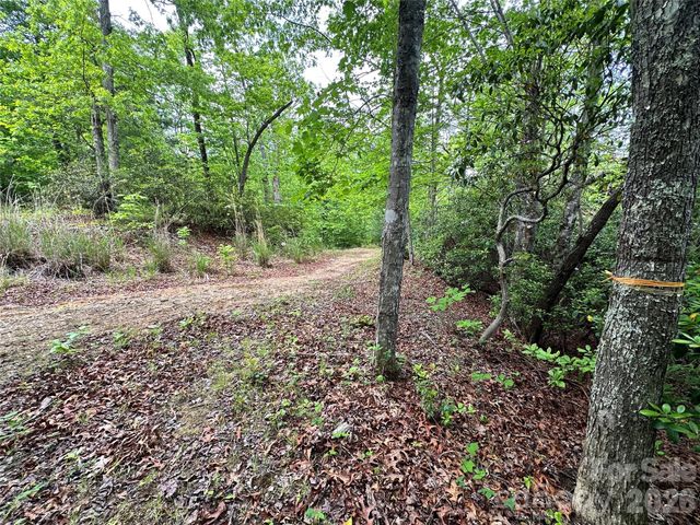 99999 Bird Creek Estates Road, Black Mountain, NC 28711