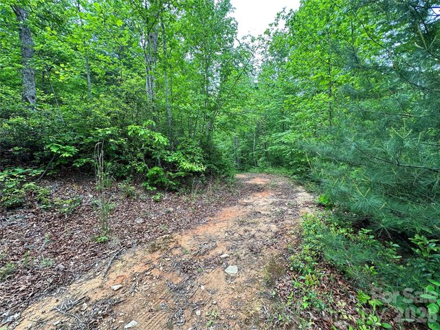 99999 Bird Creek Estates Road, Black Mountain, NC 28711