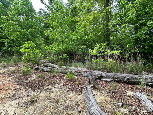99999 Bird Creek Estates Road, Black Mountain, NC 28711