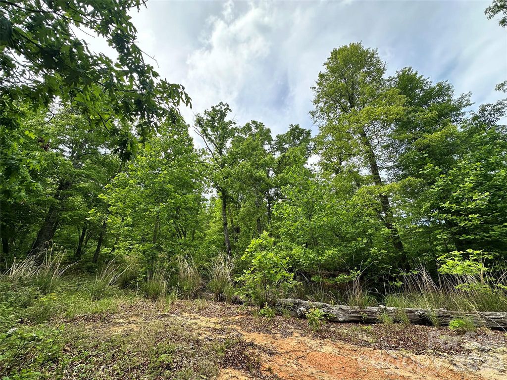 99999 Bird Creek Estates Road, Black Mountain, NC 28711