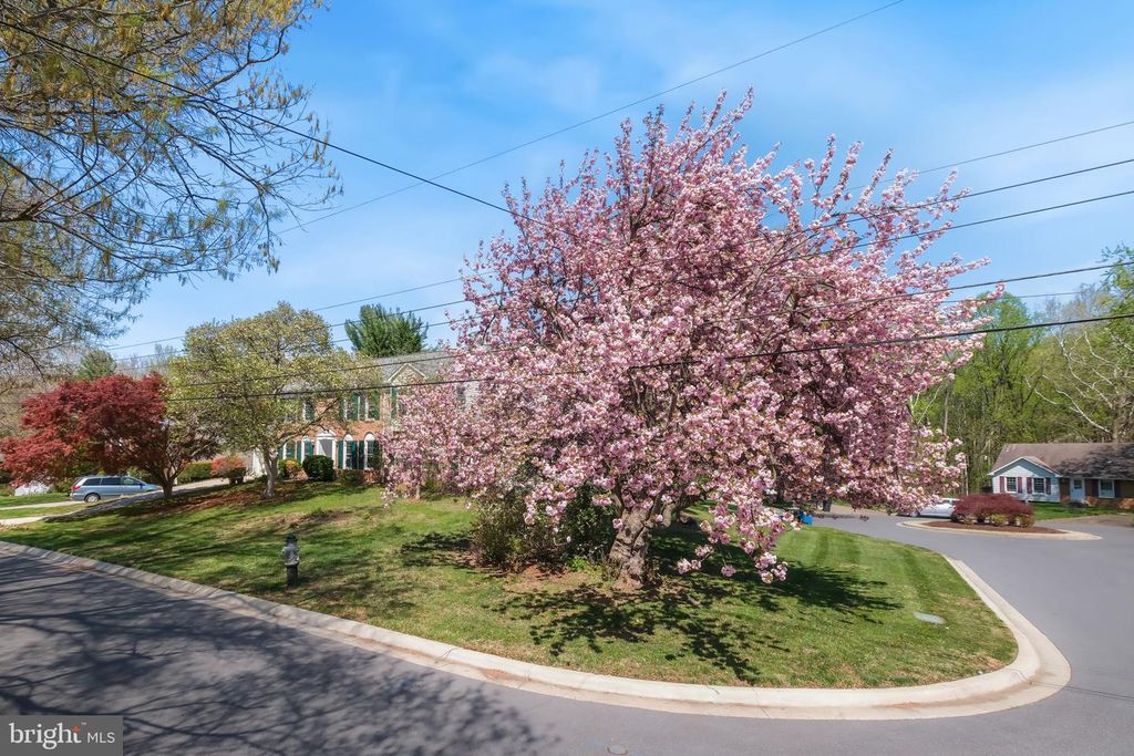 Image 5 of property listing at 11917 REYNOLDS AVE, Potomac, MD 20854