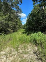 (43208) Wake Forest, Livingston, TX 77351
