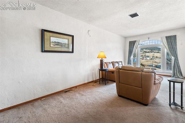 325 S Fourth Street, Victor, CO 80860