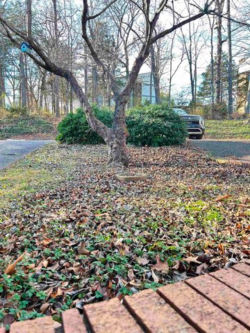 8 Lotus Lane, Cherokee Village, AR 72529