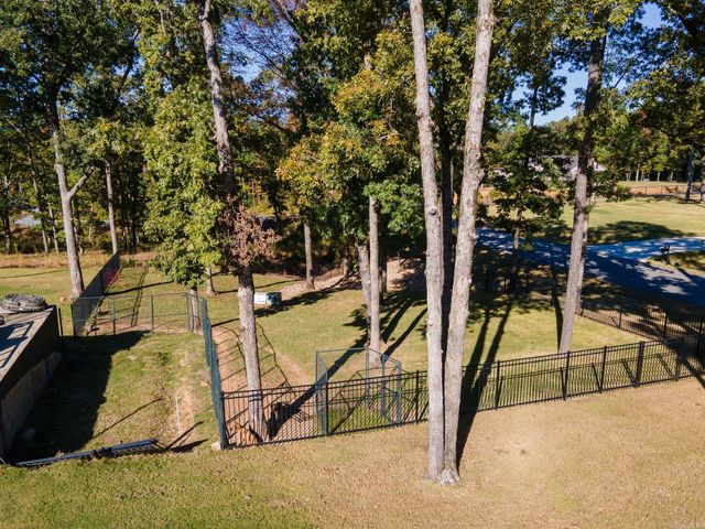 3945 Orchard Hill Drive, Conway, AR 72034