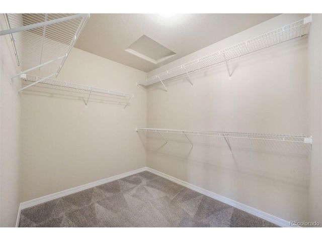 7851 Lathrop Vw, Colorado Springs, CO 80924