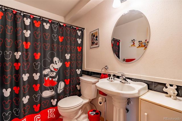 212 Wisp Creek Drive, Bailey, CO 80421