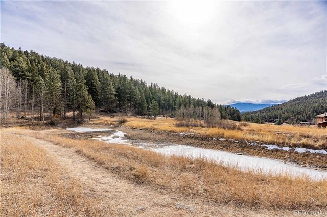 212 Wisp Creek Drive, Bailey, CO 80421