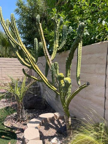 81677 Avenida Parito, Indio, CA 92203