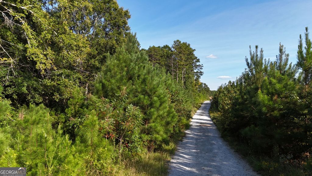 0 Bowman Highway, Elberton, GA 30635 — photo 4