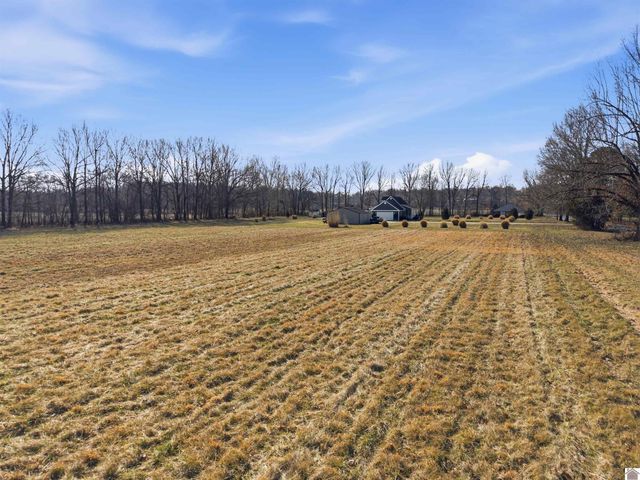 2610 Said Rd., Symsonia, KY 42082