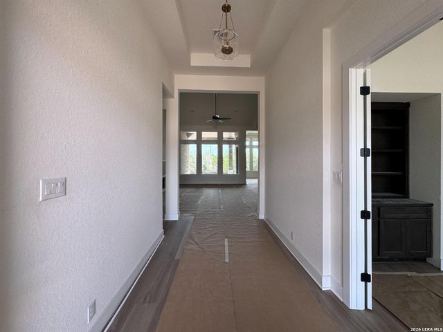 10679 Chestnut Warbler, New Braunfels, TX 78132