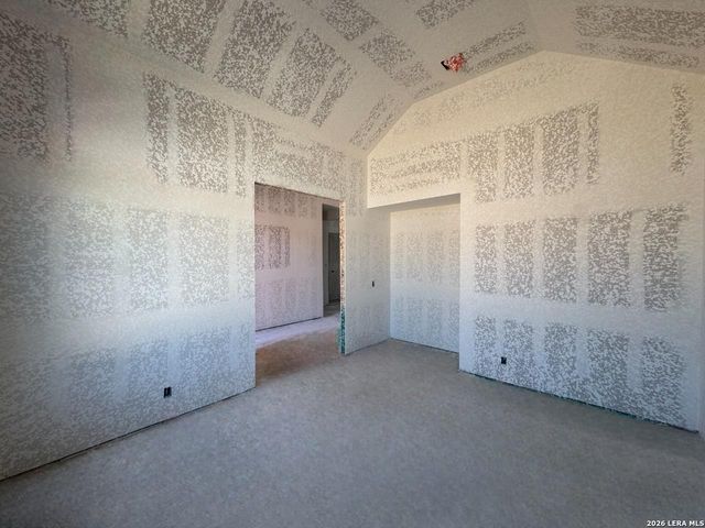 10679 Chestnut Warbler, New Braunfels, TX 78132