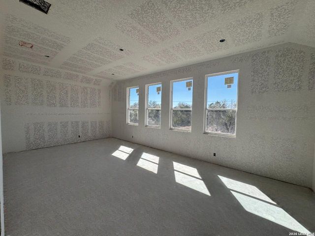 10679 Chestnut Warbler, New Braunfels, TX 78132