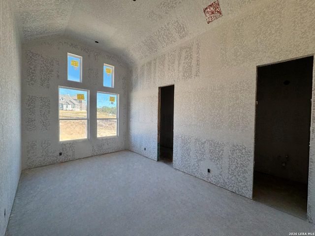 10679 Chestnut Warbler, New Braunfels, TX 78132