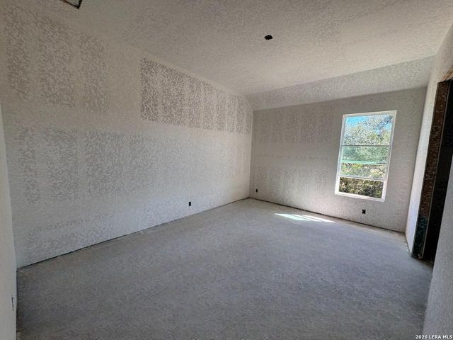 10679 Chestnut Warbler, New Braunfels, TX 78132