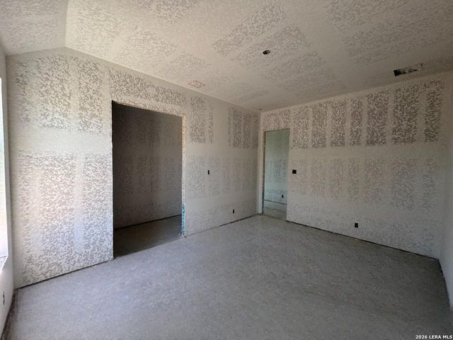 10679 Chestnut Warbler, New Braunfels, TX 78132