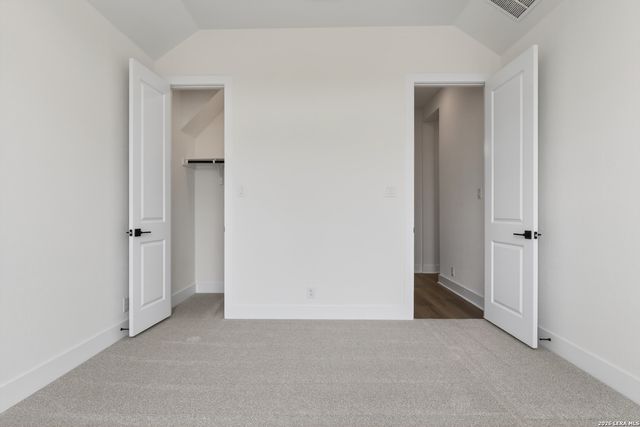 10679 Chestnut Warbler, New Braunfels, TX 78132