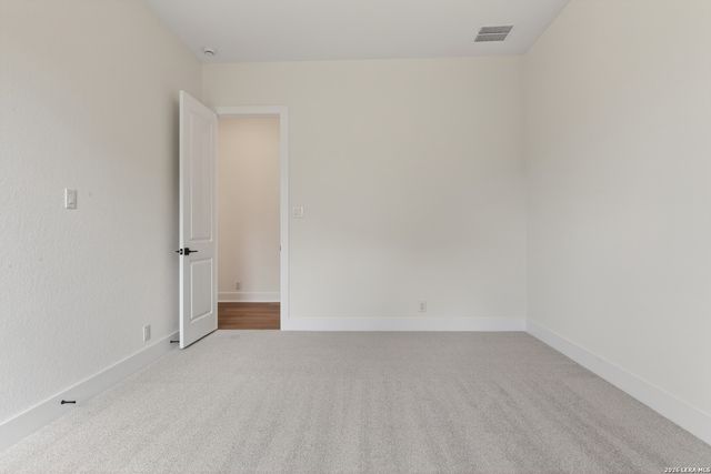 10679 Chestnut Warbler, New Braunfels, TX 78132