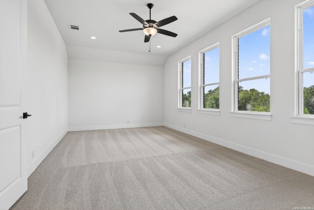 10679 Chestnut Warbler, New Braunfels, TX 78132