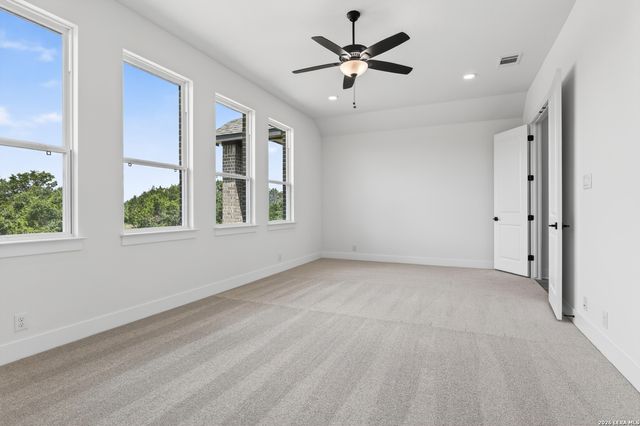 10679 Chestnut Warbler, New Braunfels, TX 78132