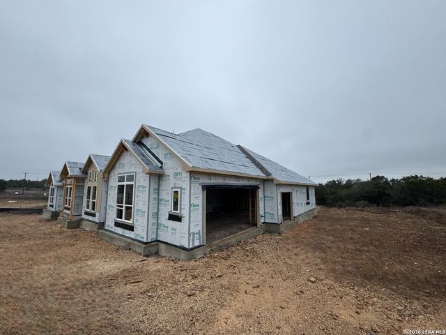 10679 Chestnut Warbler, New Braunfels, TX 78132