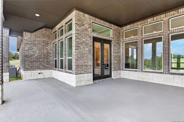 10679 Chestnut Warbler, New Braunfels, TX 78132