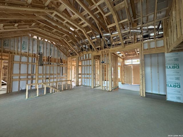 10679 Chestnut Warbler, New Braunfels, TX 78132