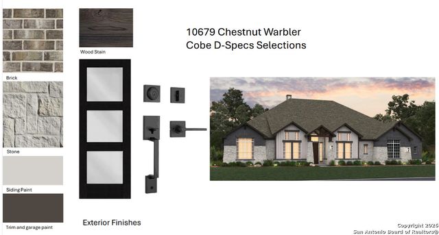 10679 Chestnut Warbler, New Braunfels, TX 78132