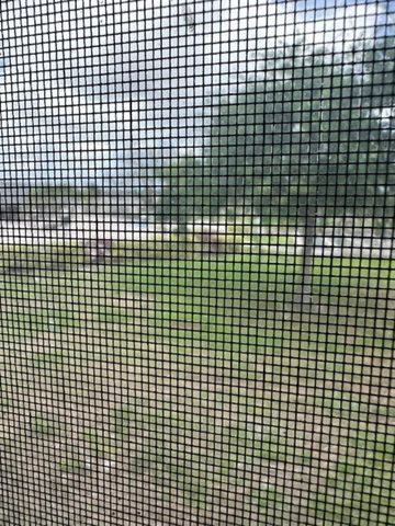 550 NW 78th Avenue 204, Margate, FL 33063