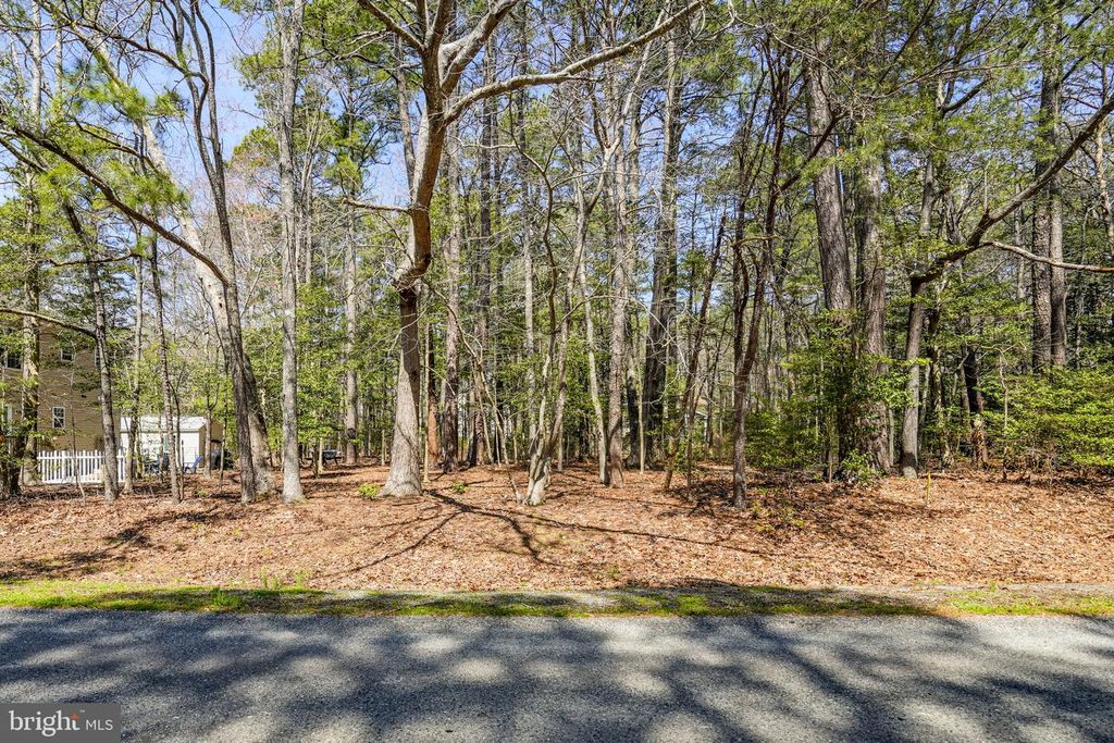 LOT 52 DAVEY JONES BLVD, Greenbackville, VA 23356