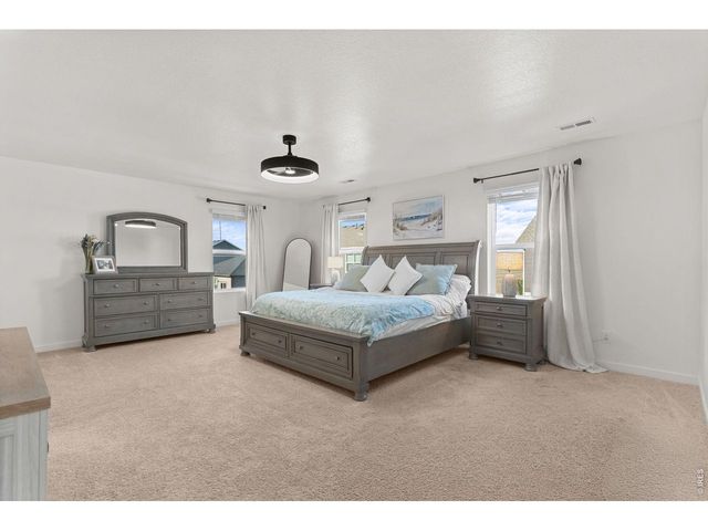 6402 Coralbell St, Wellington, CO 80549