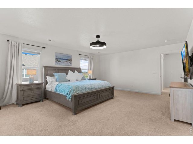 6402 Coralbell St, Wellington, CO 80549