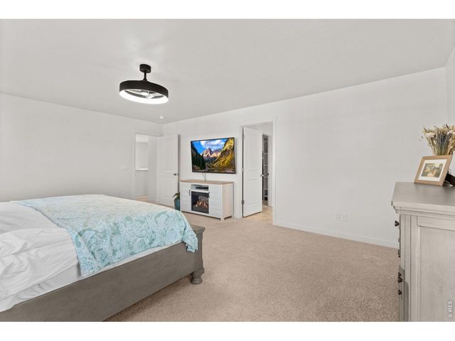 6402 Coralbell St, Wellington, CO 80549