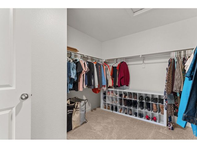 6402 Coralbell St, Wellington, CO 80549