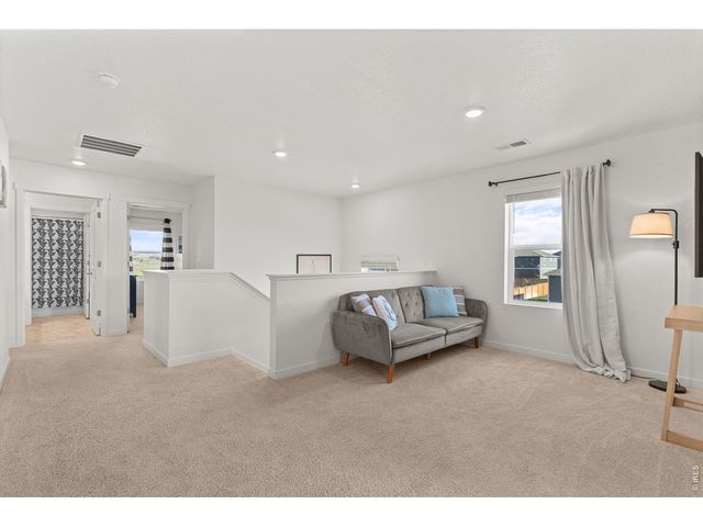 6402 Coralbell St, Wellington, CO 80549