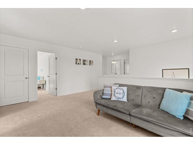 6402 Coralbell St, Wellington, CO 80549