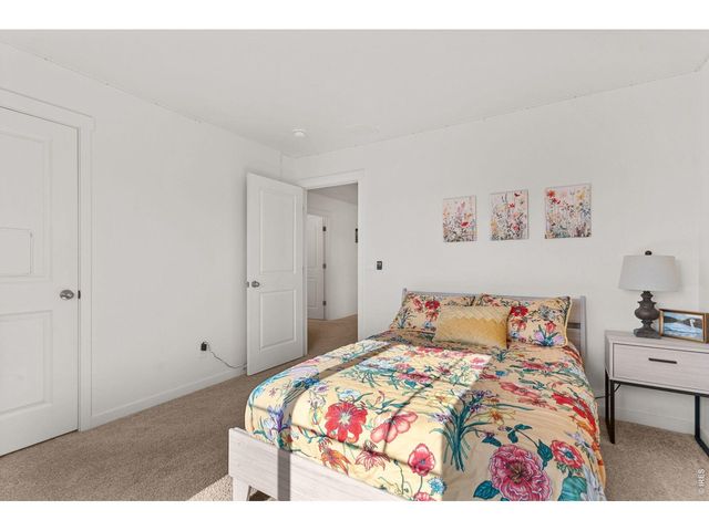 6402 Coralbell St, Wellington, CO 80549