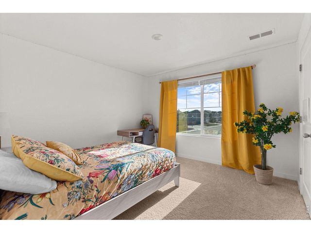 6402 Coralbell St, Wellington, CO 80549