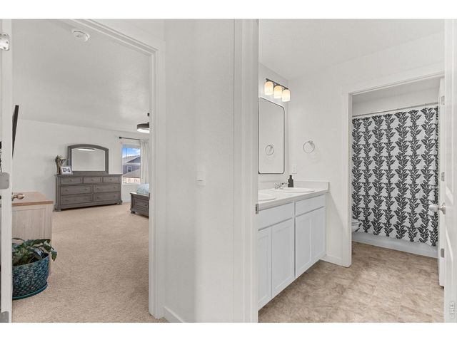 6402 Coralbell St, Wellington, CO 80549