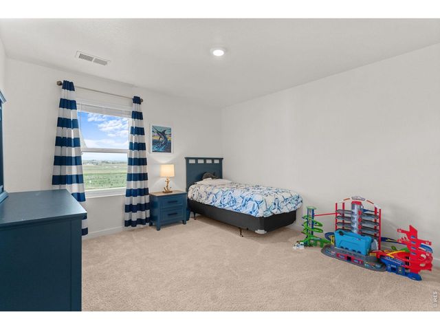 6402 Coralbell St, Wellington, CO 80549