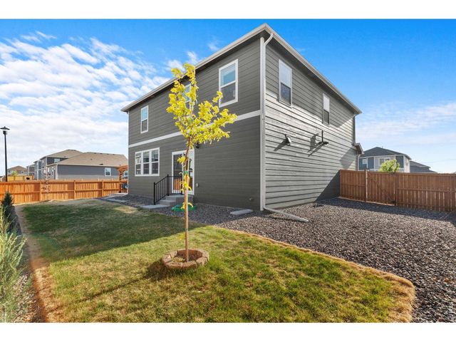 6402 Coralbell St, Wellington, CO 80549