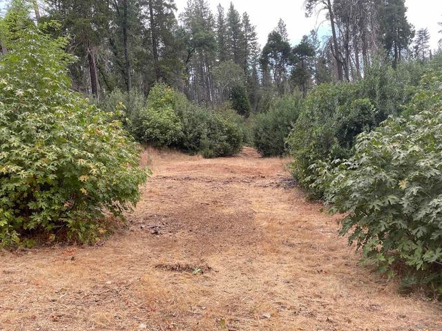 5930 Fickett Ln, Paradise, CA 95969