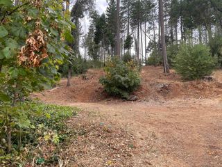 5930 Fickett Ln, Paradise, CA 95969