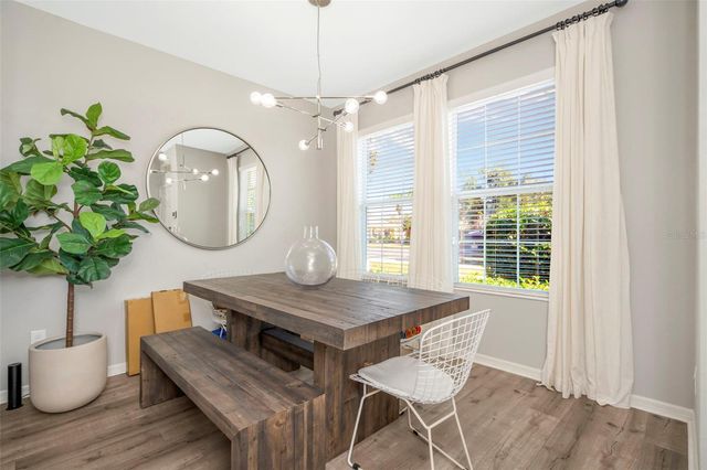 7031 TOWERING SPRUCE DRIVE, Riverview, FL 33578