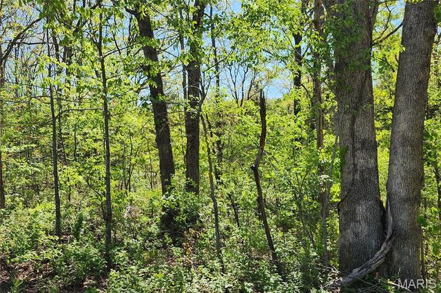 3906 Red Bud Drive, Catawissa, MO 63015